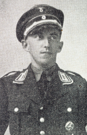 Walter Heyse